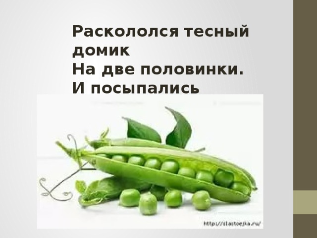 Раскололся тесный домик На две половинки. И посыпались оттуда Бусинки – дробинки.