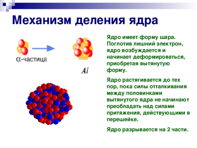 Продукты распада ядра. Капельная модель деления ядра урана. Механизм деления ядра. Цепная реакция деления ядер урана. Капельная модель деления ядра.