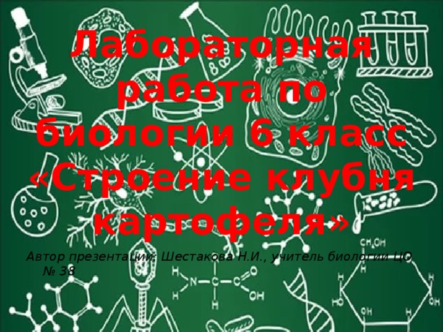 Лабораторная работа по биологии 6 класс  «Строение клубня картофеля» Автор презентации: Шестакова Н.И., учитель биологии ЦО № 38