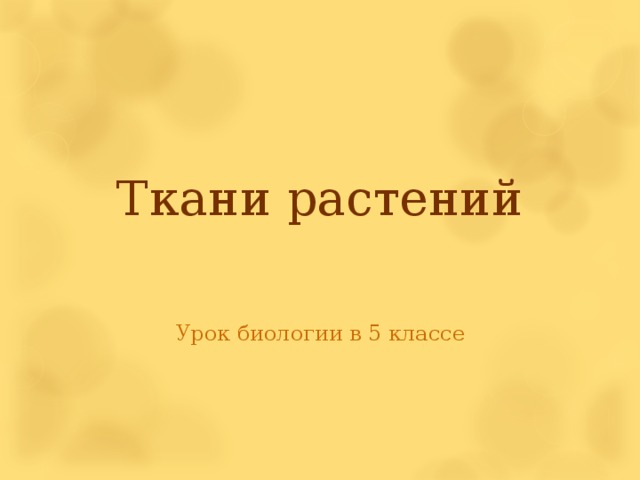 Ткани растений Урок биологии в 5 классе