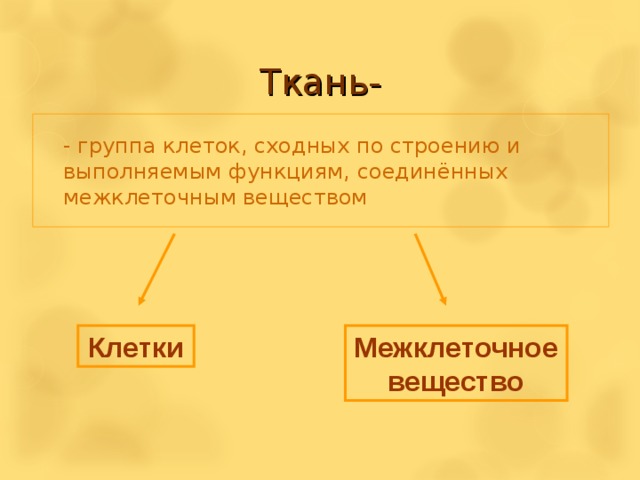 Ткань-  - группа клеток, сходных по строению и выполняемым функциям, соединённых межклеточным веществом Клетки  Межклеточное вещество