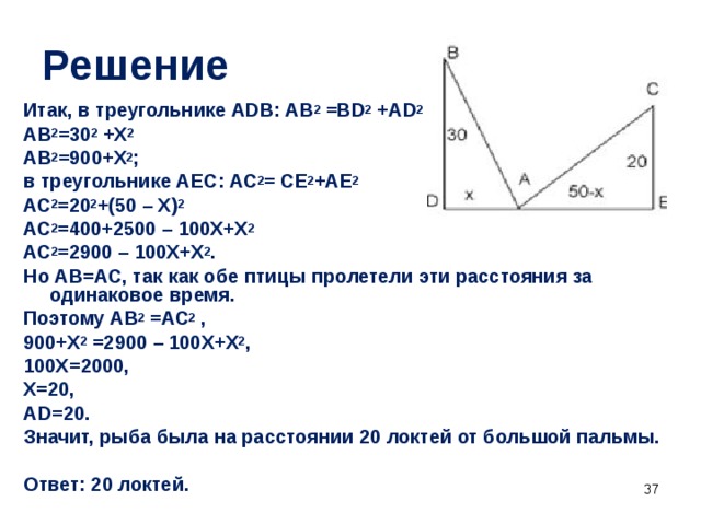 Решение   Итак, в треугольнике АDВ: АВ 2 =ВD 2 +АD 2  АВ 2 =30 2 +Х 2 АВ 2 =900+Х 2 ; в треугольнике АЕС: АС 2 = СЕ 2 +АЕ 2 АС 2 =20 2 +(50 – Х) 2  АС 2 =400+2500 – 100Х+Х 2 АС 2 =2900 – 100Х+Х 2 . Но АВ=АС, так как обе птицы пролетели эти расстояния за одинаковое время. Поэтому АВ 2 =АС 2 , 900+Х 2 =2900 – 100Х+Х 2 , 100Х=2000, Х=20, АD=20. Значит, рыба была на расстоянии 20 локтей от большой пальмы.  Ответ: 20 локтей.