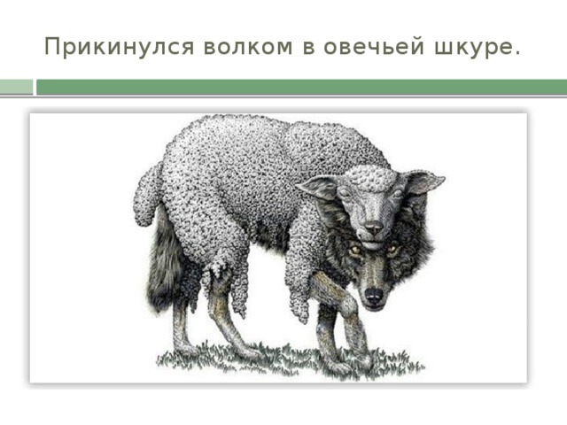 Прикинулся волком в овечьей шкуре.