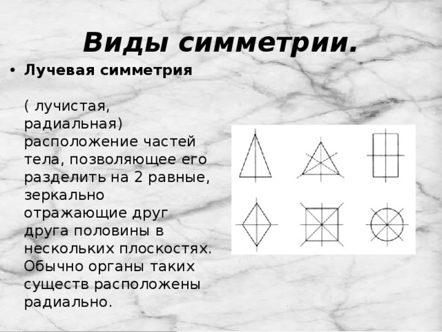 17 видов. Виды симметрии. Виды симметрии с примерами. Схема основных видов симметрии. Виды симметрии лучевая.