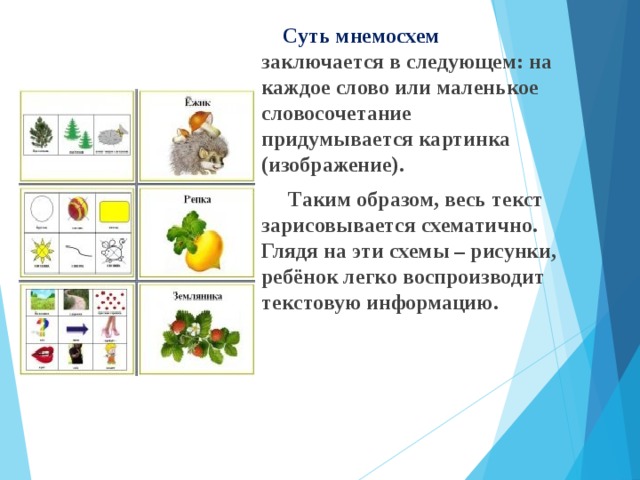 Суть мнемосхем заключается в следующем: на каждое слово или маленькое словосочетание придумывается картинка (изображение).  Таким образом, весь текст зарисовывается схематично. Глядя на эти схемы – рисунки, ребёнок легко воспроизводит текстовую информацию.