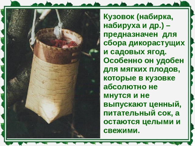 Кузовок (набирка, набируха и др.) –предназначен для сбора дикорастущих и садовых ягод. Особенно он удобен для мягких плодов, которые в кузовке абсолютно не мнутся и не выпускают ценный, питательный сок, а остаются целыми и свежими.